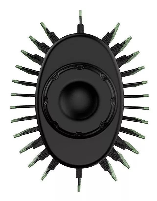 Combo Cepillo Secador Aguacate + Plancha